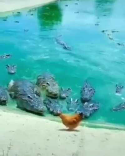 KGB üyeleri grupta kız görüyor