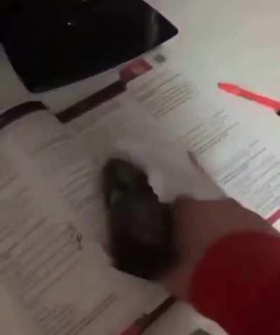 aminakoy arim nasil yanlis