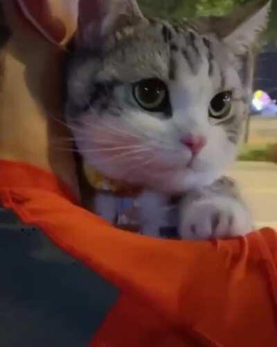 Я может и не женился бы никогда :з