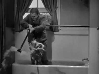 Que alguien le ponga la cabeza de Alberto