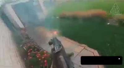 Good thing they didn't overreact