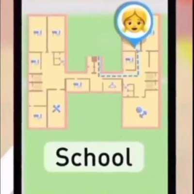 Discord kitten going to school