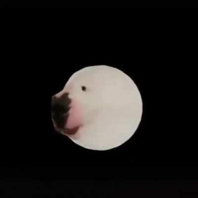 my god...................