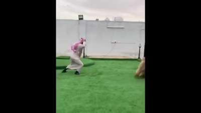 The Great Crash of 2020