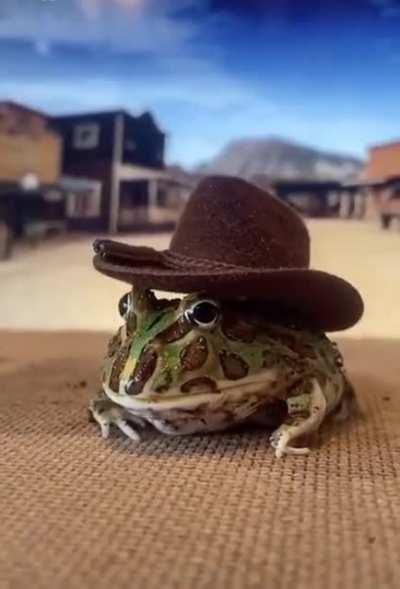 Howdy