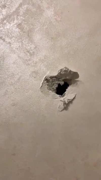 Вежливый сосед с перфоратором.