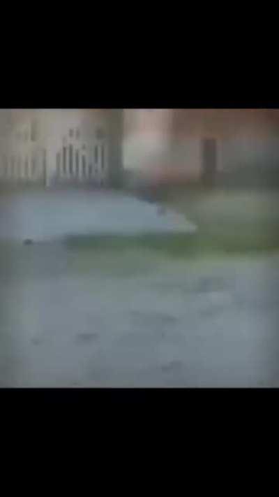 delicios😋😋‼️