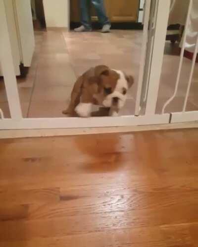 You looked lonely so I risked my life to cross the great barrier and snuggle you