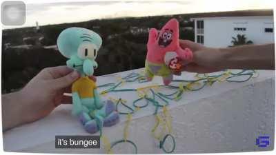 Squidward commits spongicide