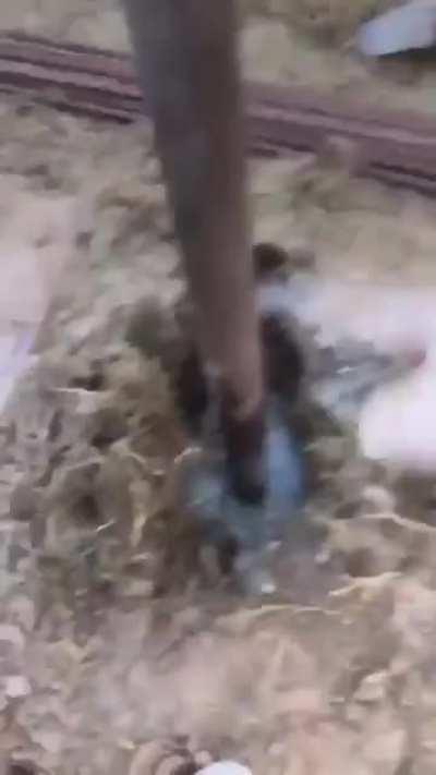 You need the sound on....