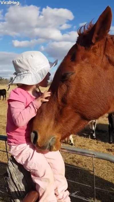 Watching this makes my day whole.