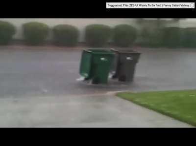 Breaking news. Toxic Slenders we’re found racing on the road