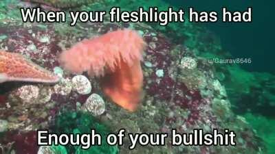 Babe no wait!!! I'm sorry ✊😔💦💦