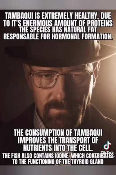 Shut up shut up shut up