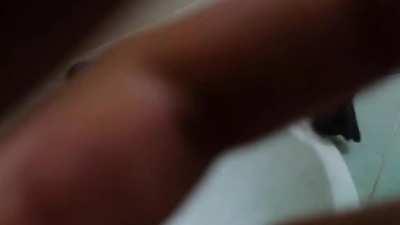 Most mundane activity in Magaysian school toilet