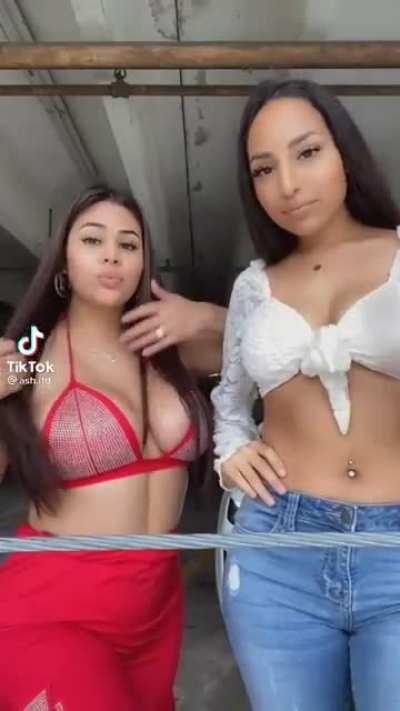 @ash.ltd & @morenitabby_ or @itsbianca