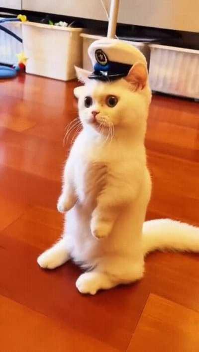 And here is our furry policeman