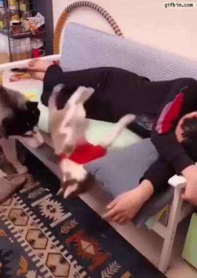 Just going to move this out of the way