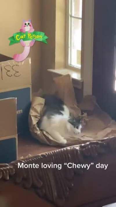 Monte protec from chewy greebles