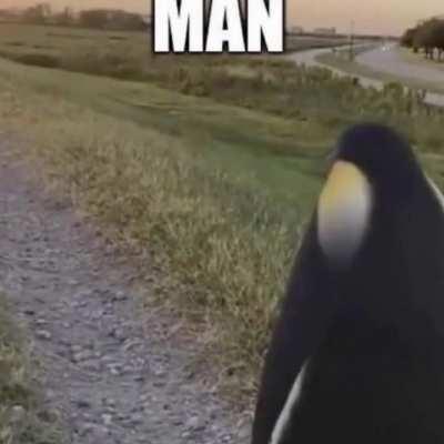 Out of swags to give