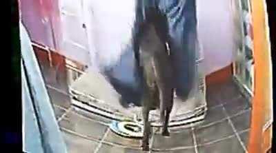 'viner' in 2022 XDDDD