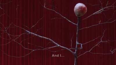 What did the arm mean by this?