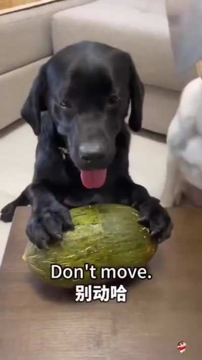 This is hilarious 😆