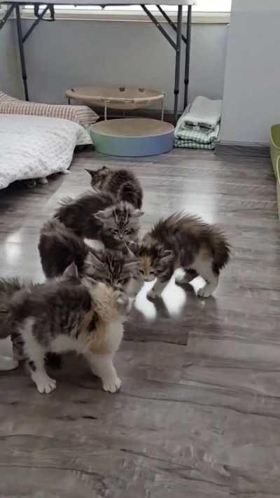 Can’t we all get along?