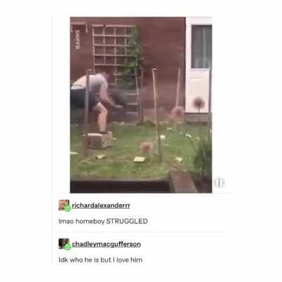 Struggling to catch the bunny