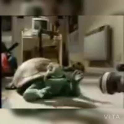 0سعله مثىهسع ىهب ىهللحسعله مثىهسع ىهب ىهللح( ͡° ͜ʖ ͡°)/\_/\ ( ^_^ ) /> 🍕 ()----()سعله مثىهسع ىهب ىهللحeu o sa intarzii 5 min• ⁠أخوة BROTHERHOOD أخوة MANDATED PROPAGANDA أخوة الاخوان بروباجاندا الاخوان بروباجاندا !! يا أوها لالا ، لقد ضحكت يا ابن عمري ا