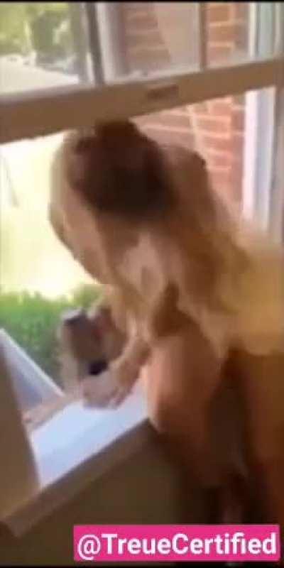 Banging yourself out the window