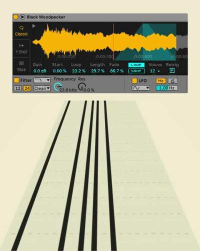 Black woodpecker, normal speed, then slowed down, then synthpad