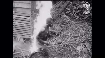 Warning Graphic: Australian 7th Division assaults the island of Balikpapan as a Japanese Soldier burns to death