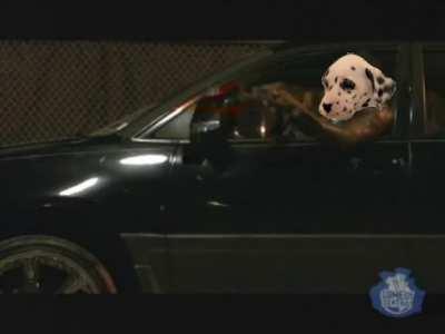 This type of trash for the next week pls