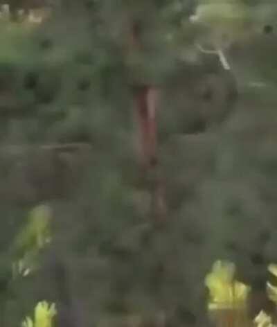 HMFT after I utter the words 