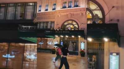 TikTok Kungfu|2020抖音热门视频各路功夫小姐姐，配上BGM帅呆了！ 