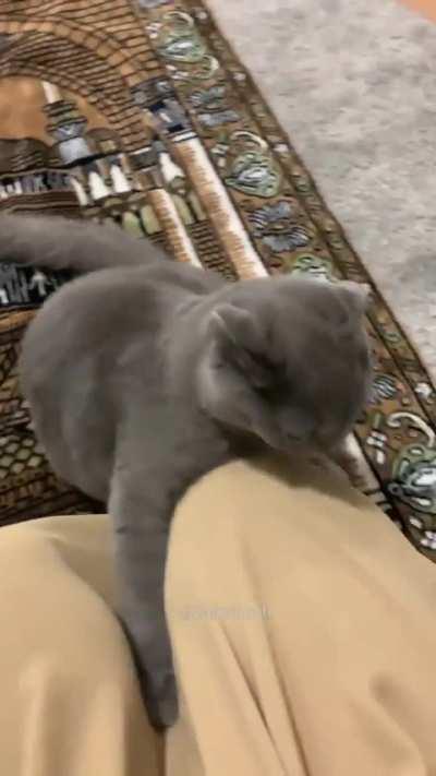 Sister Minnie is a Big Iblis. Creadit:YT @SisterMinnie