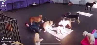 This is the best way to die