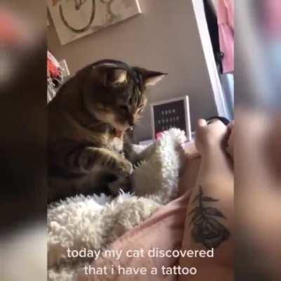 When he sees a new tattoo for the first time...