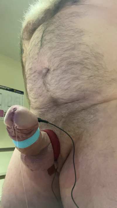 Cock GIF by 121deano