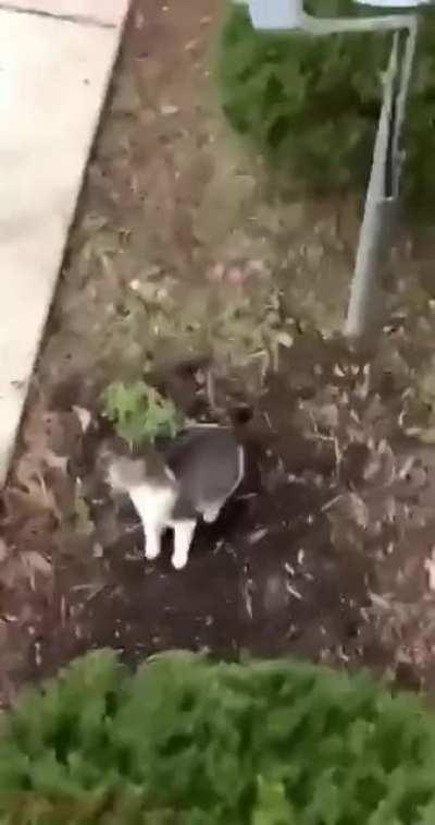 Прыжок веры