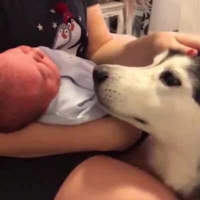 She's in love with the new tiny human