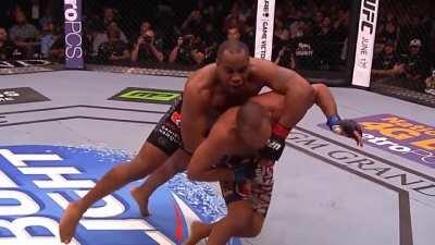 When Popeyes tells you that the Chicken Sandwich is out of stock