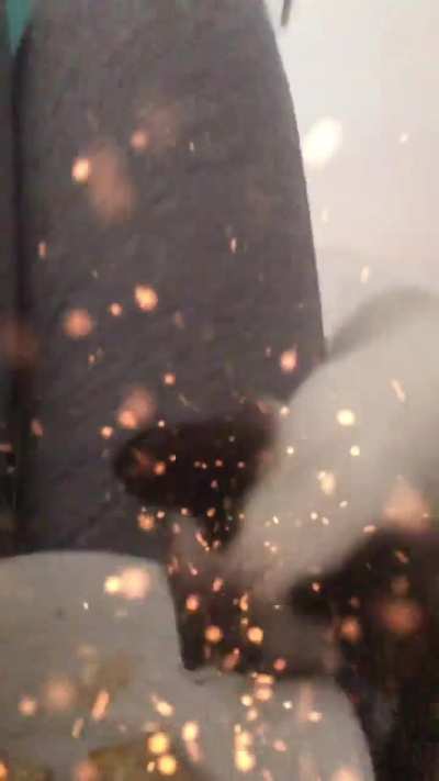 gluttonous THIEVINg wunk tries toSTEAL my NON WUNK food