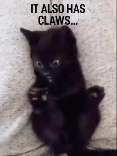 HMF this video with this caption. I found this in reddit but when I search all I get i the one with no captions, nothing. And I downloaded this video but couldn't send this to anyone. So please hmf