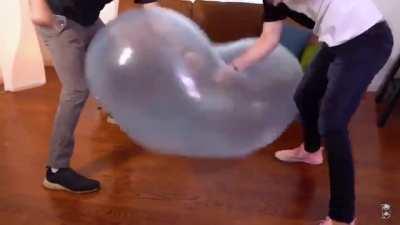 Can we just appreciate this for a moment