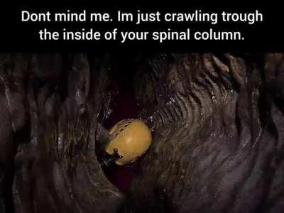 gotta get to the brain