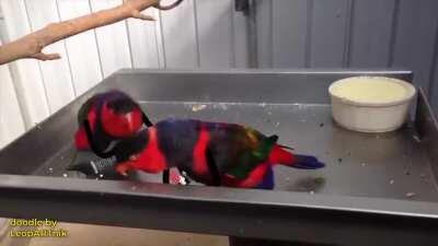 Make way for party kings of reddit.