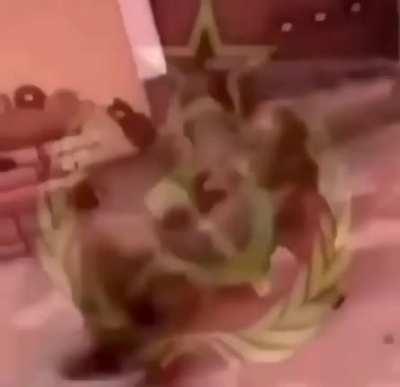 When u find a makarov and 300 roubles in the marked room