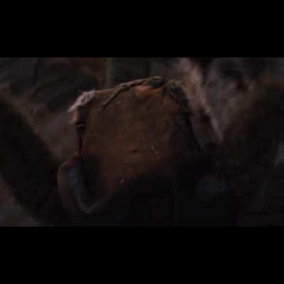 Happy May the Fourth Everybody!